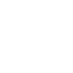 Website seguro