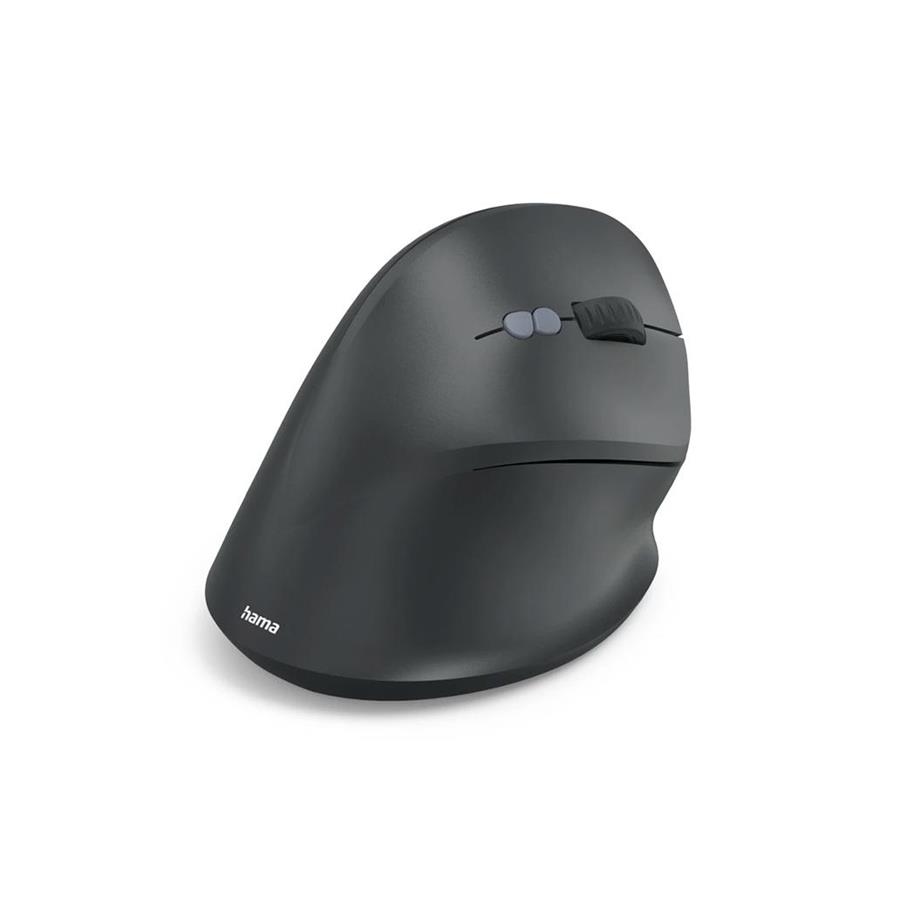 RATO WIRELESS ERGONÓMICO EWM-500R PRETO RATO WIRELESS ERGONÓMICO EWM-500R PRETO