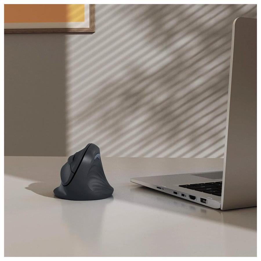 RATO WIRELESS ERGONÓMICO EWM-500R PRETO RATO WIRELESS ERGONÓMICO EWM-500R PRETO