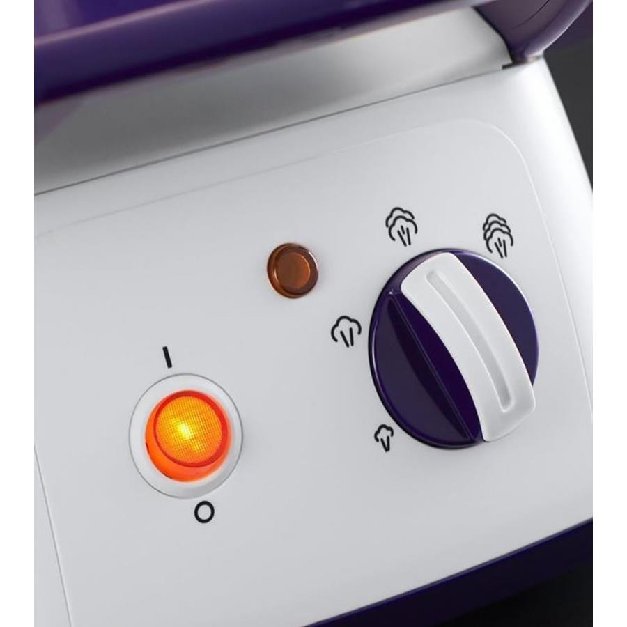 RUSSELL HOBBS - FERRO DE ENGOMAR COM CALDEIRA (ROXO)