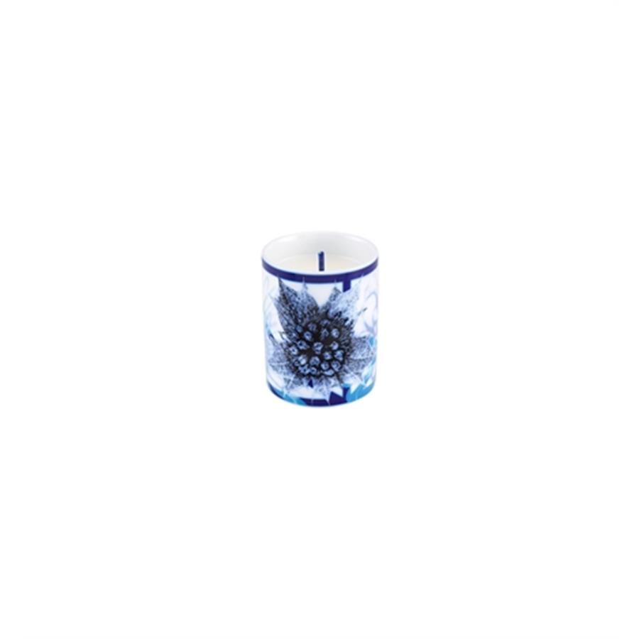 COPO 7CM COUVERTS MYSTÈRE COPO 7CM COUVERTS MYSTÈRE